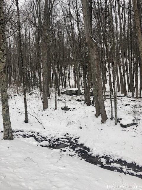 C31 Eagles Nest Trail - Photo 1