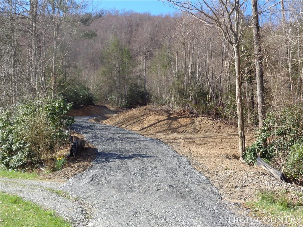 TBD Vl Moretz Road - Photo 1