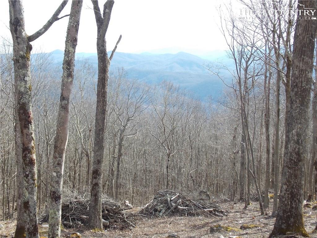 TBD Eagles Nest Trail - Photo 1