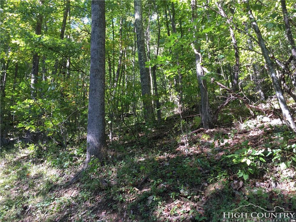 TBD Grandview Drive - Photo 1