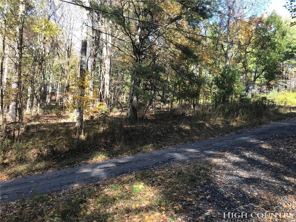 Lot 125 Trojan Horse Circle - Photo 1