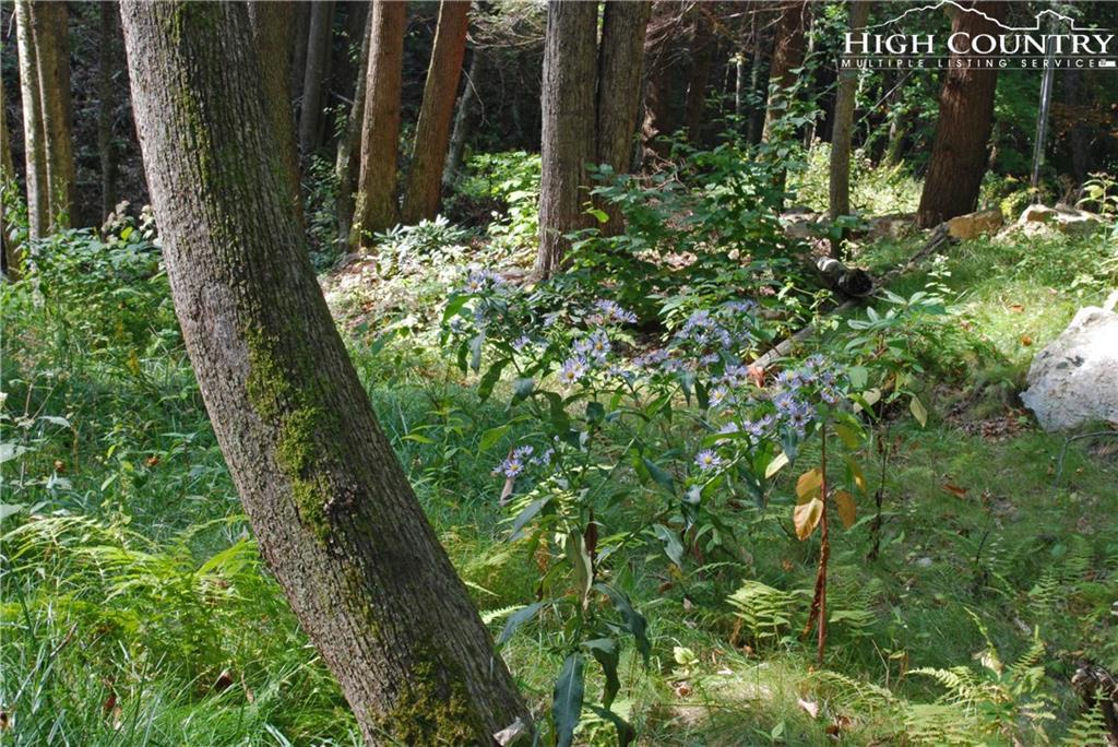 EN N 20 Eagles Nest Trail - Photo 1