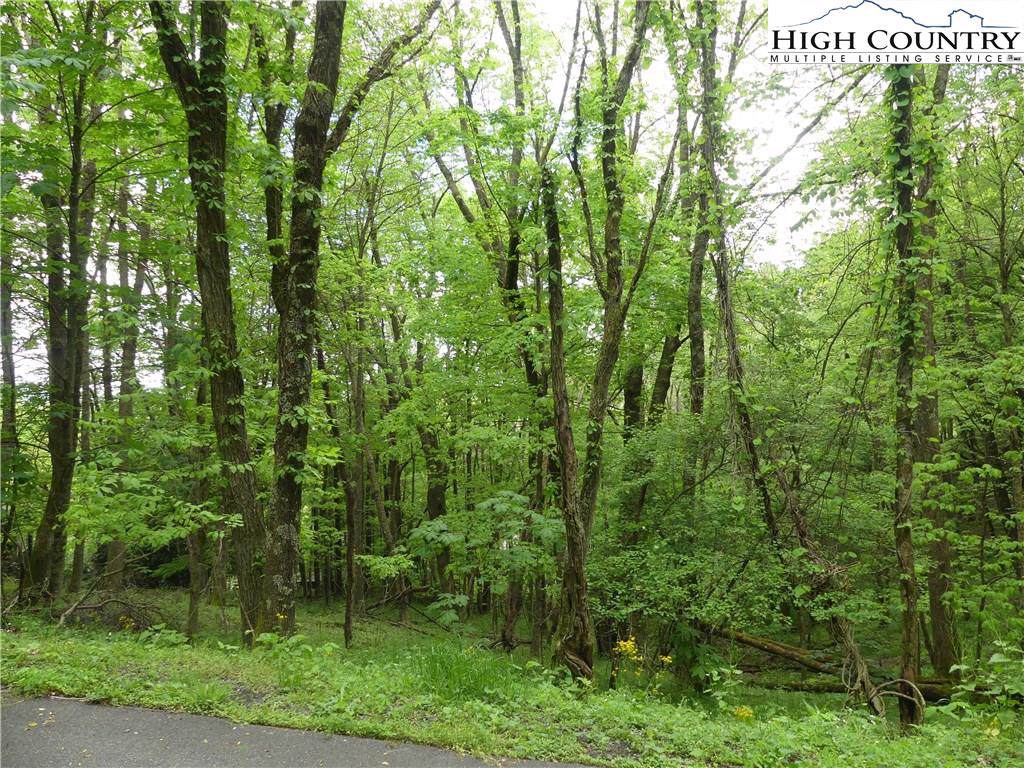 TBD Knob Hill Lane - Photo 1