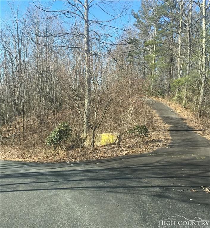 tbd Fall Creek Meadows Road - Photo 1