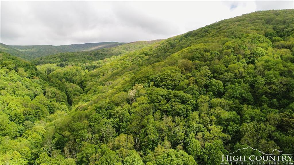 1355 Big Horse Creek Road - Photo 1