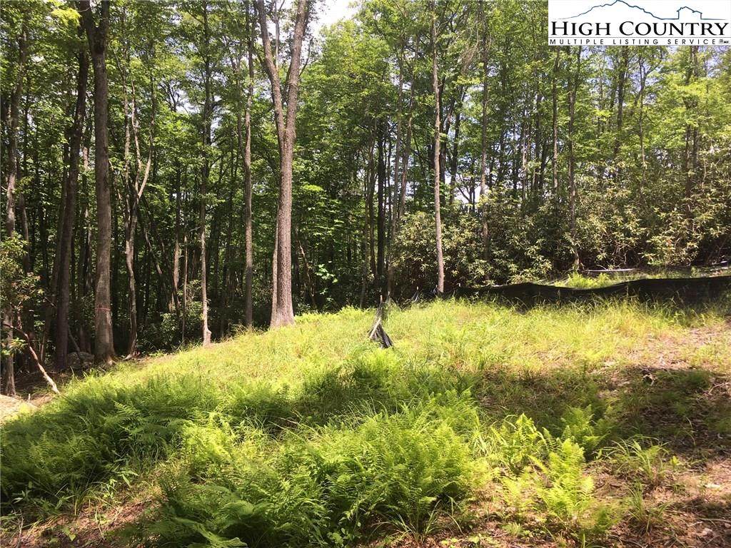 Lot 28 Twin Branches Road - Photo 1