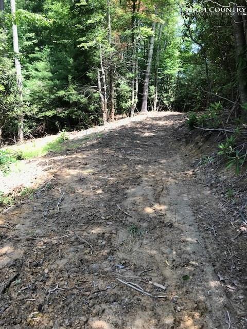 541 Chestnut Mountain Road - Photo 1