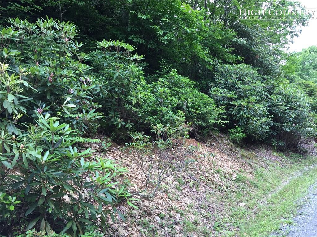 TBD Snow Ridge Road - Photo 1