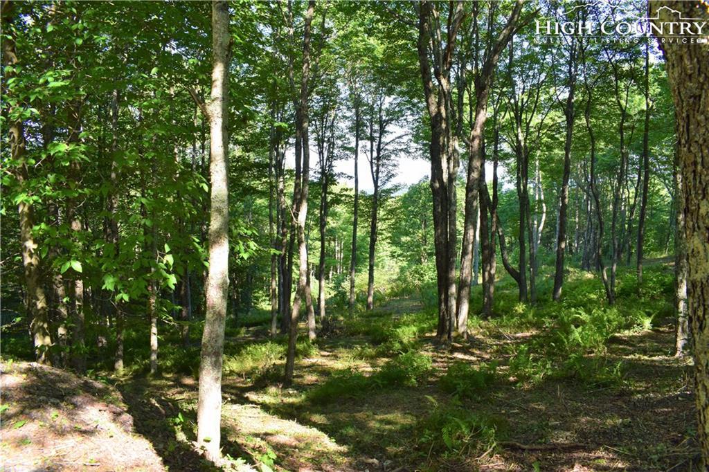 TBD Shawnee Road - Photo 1