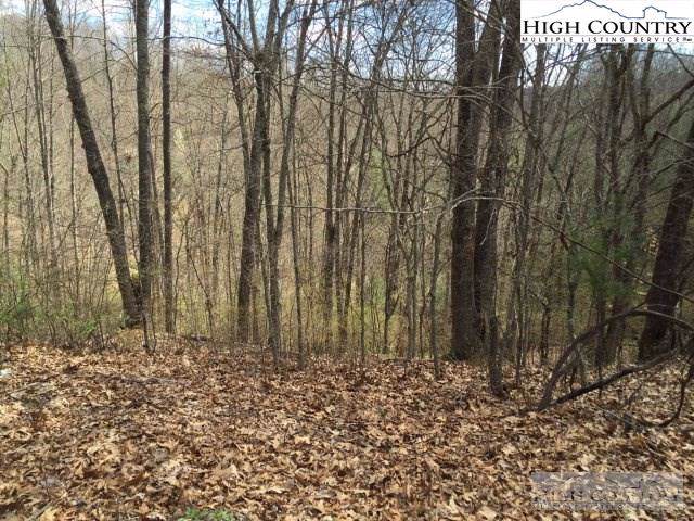 Lot# 31C Happyland Road - Photo 1