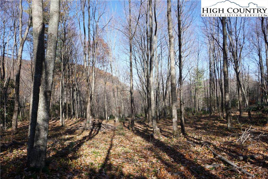 lot 79 White Tail Trail - Photo 1