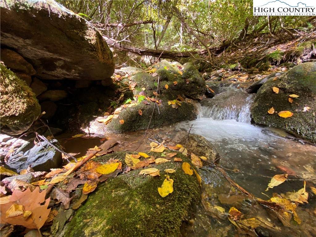000 Gusher Knob Road - Photo 1