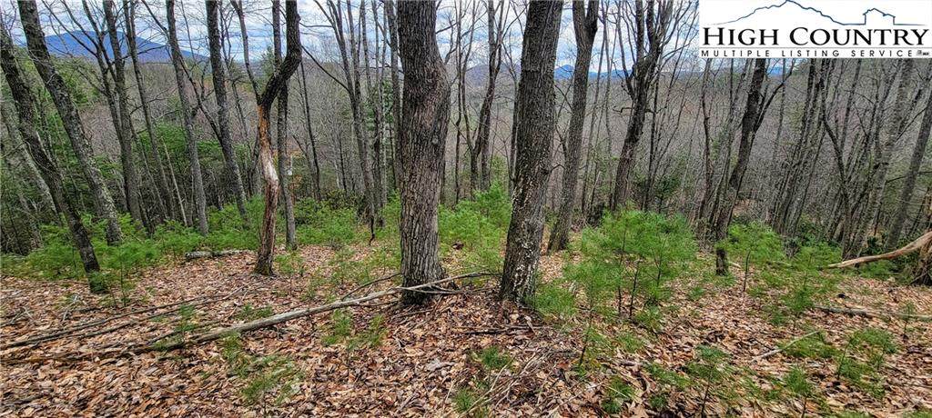 TBD Woodland Dr - Photo 1