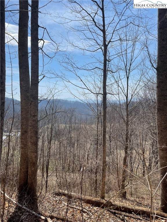 Lot 1 Natalies Path - Photo 1