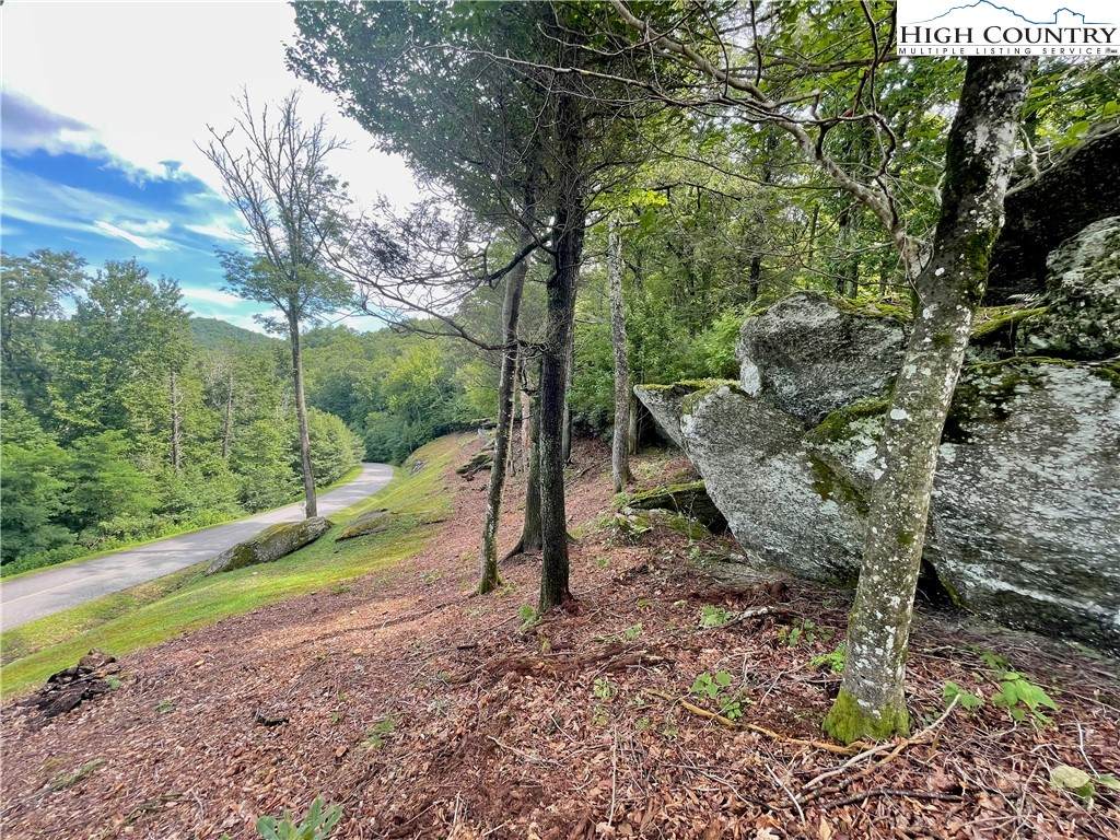 140 Moss Ledge Trail - Photo 1