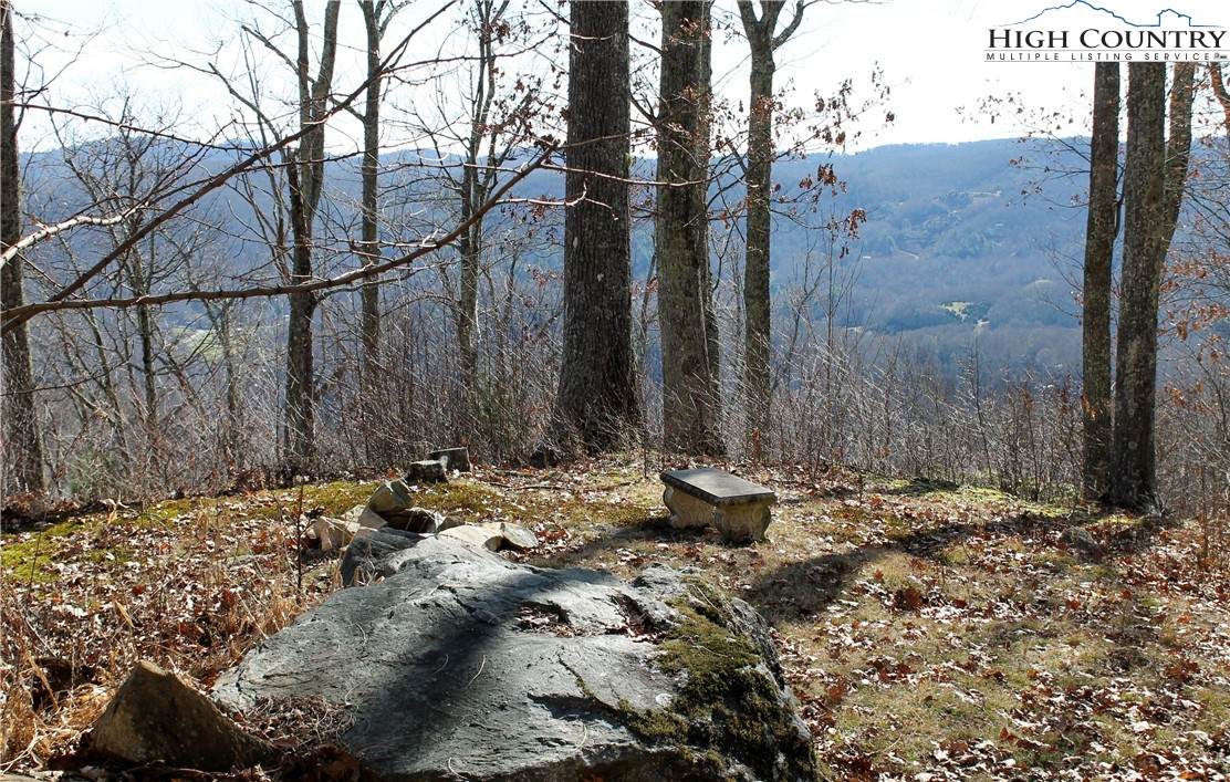 Lot 23 Nettles Ridge Road - Photo 1