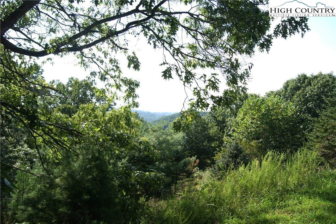 Lot 19 Turning Leaf Lane - Photo 1