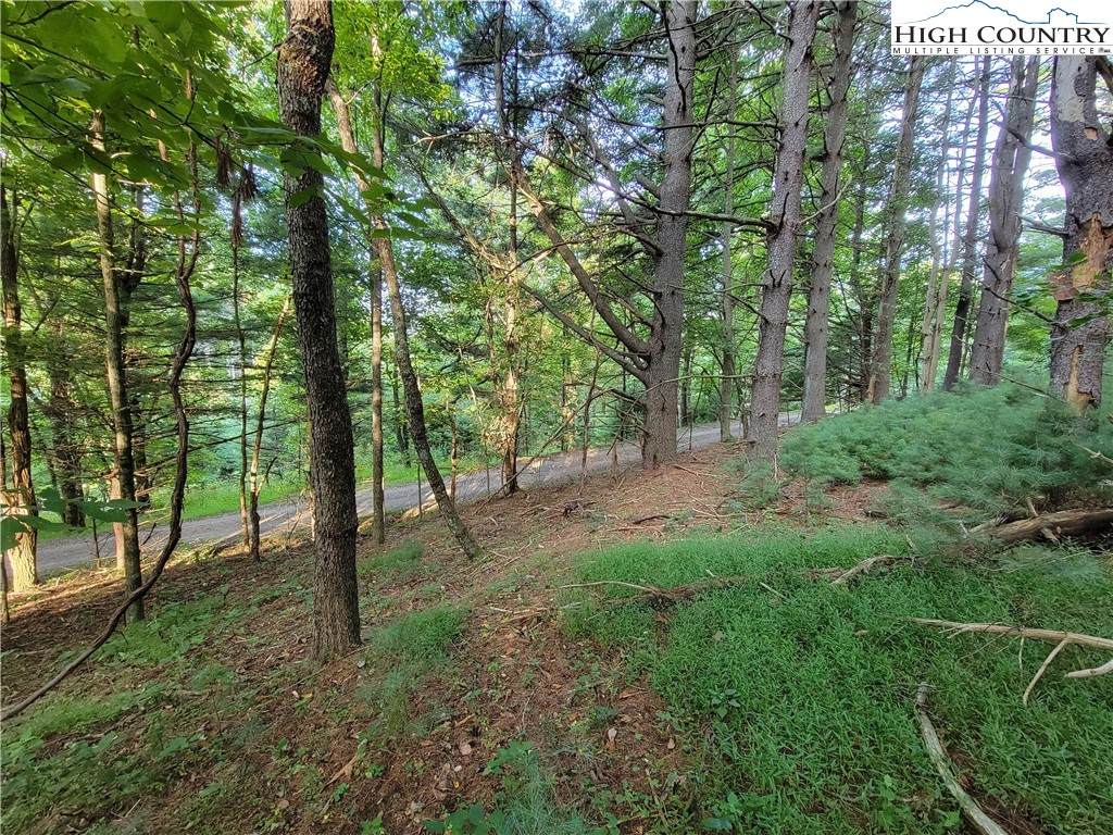 Lot 9 Parkway/Oak Drive - Photo 1