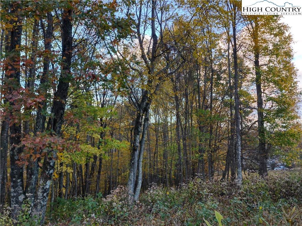 Lot 10 Hidden Valley Lane - Photo 1