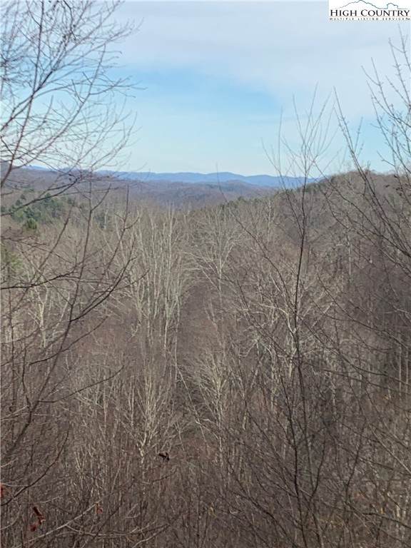 37ac John Alley Road - Photo 1