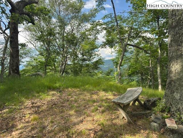 796 Goat Mountain Road - Photo 1
