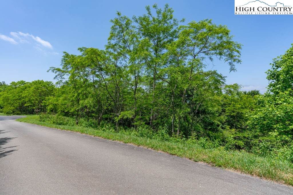 C34 Bow And Arrow Nvno - Photo 1