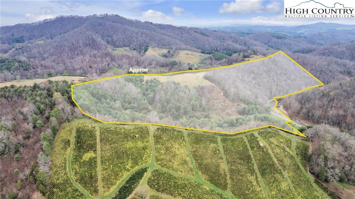 TBD Big Helton Road - Photo 1