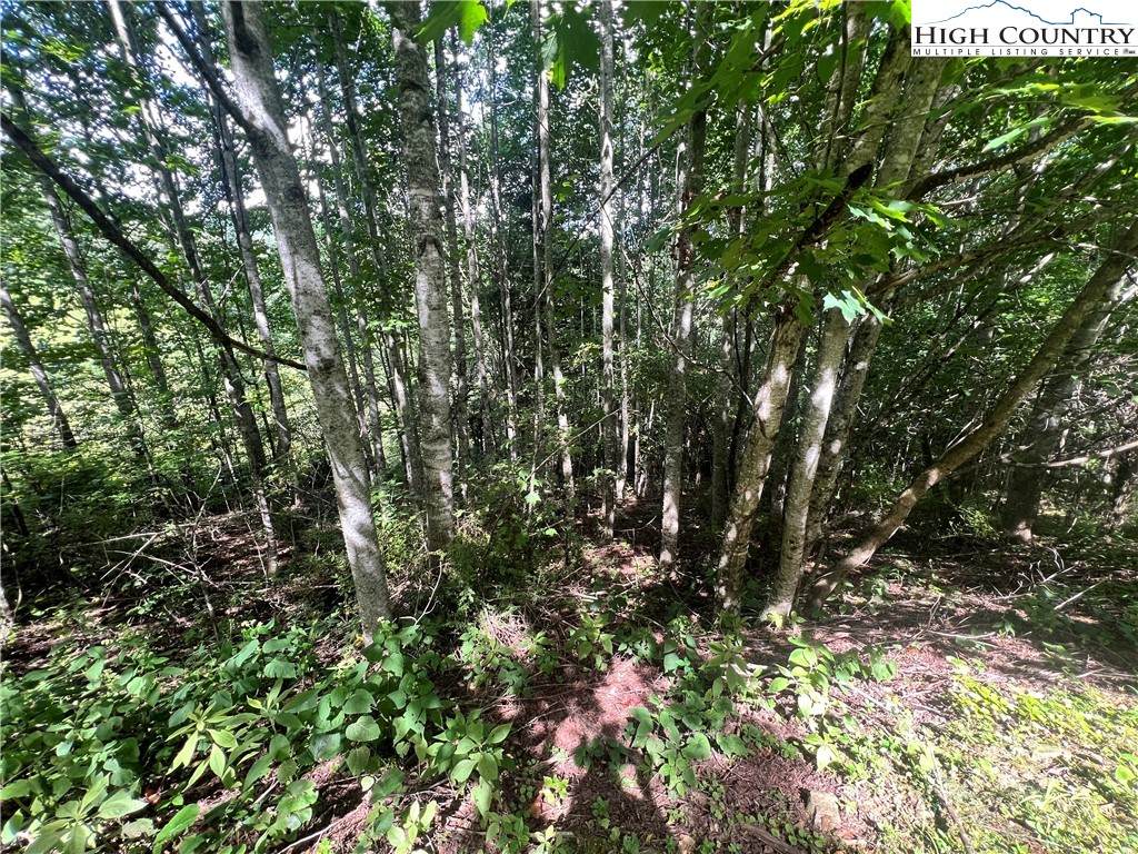 Lot 5 Old Barn Road - Photo 1