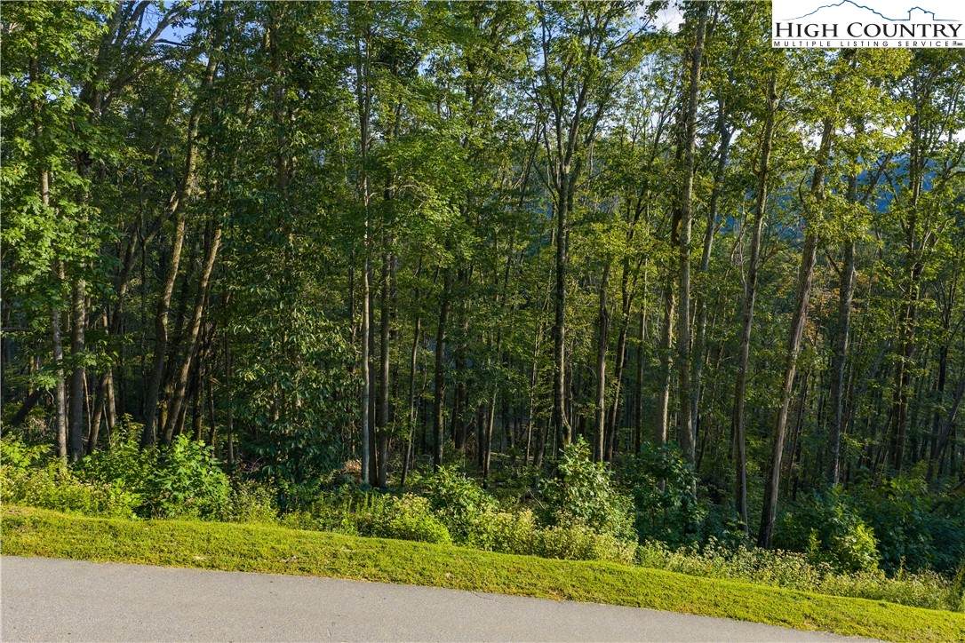 C52 Firefly Cove - Photo 1