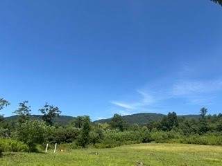 TBD Black Bear Acres Lane - Photo 1