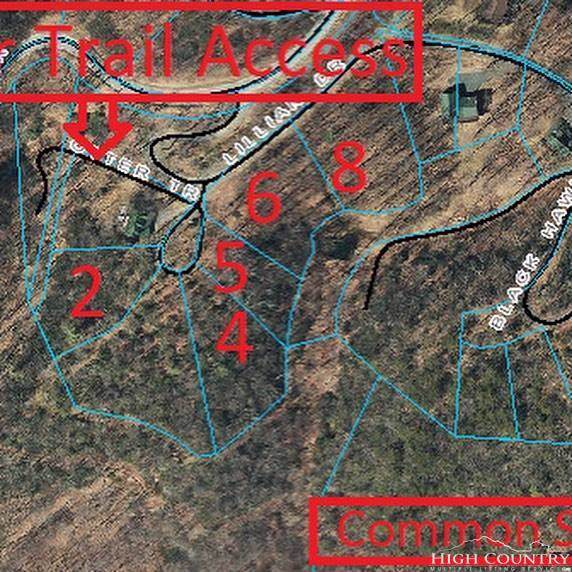 Lot #2 Blair Mountain Estates - Photo 1