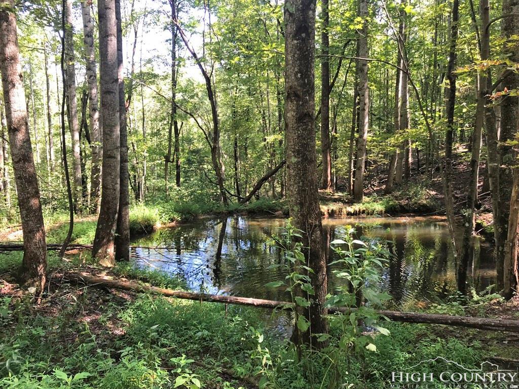 000 W Meadows Road - Photo 1