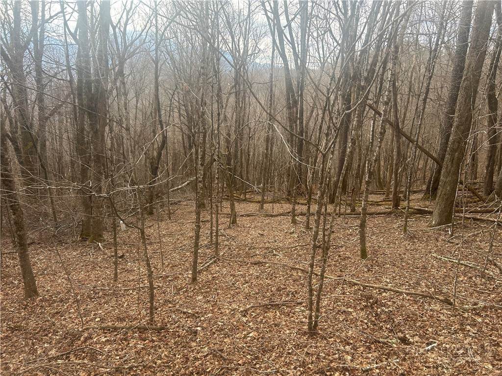 lot 39 Rainbow Ridge Road - Photo 1