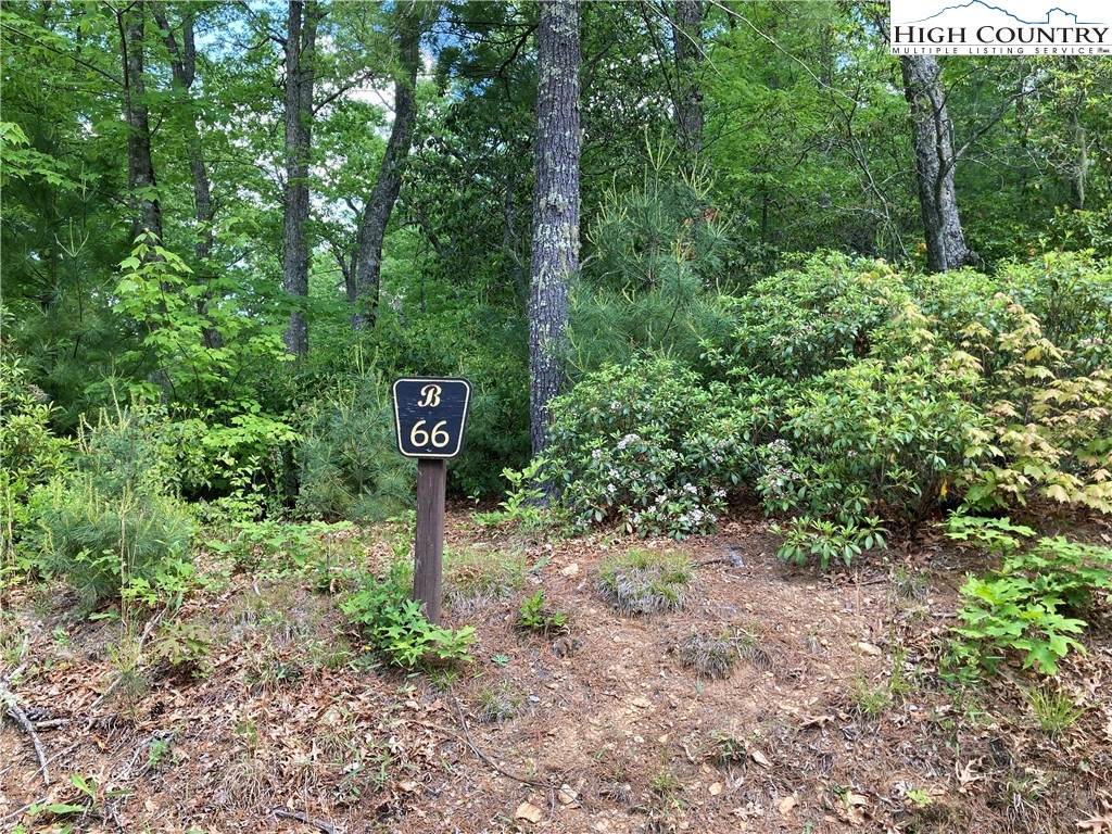 TBD Lot 66 Autumn Fern Trail - Photo 1