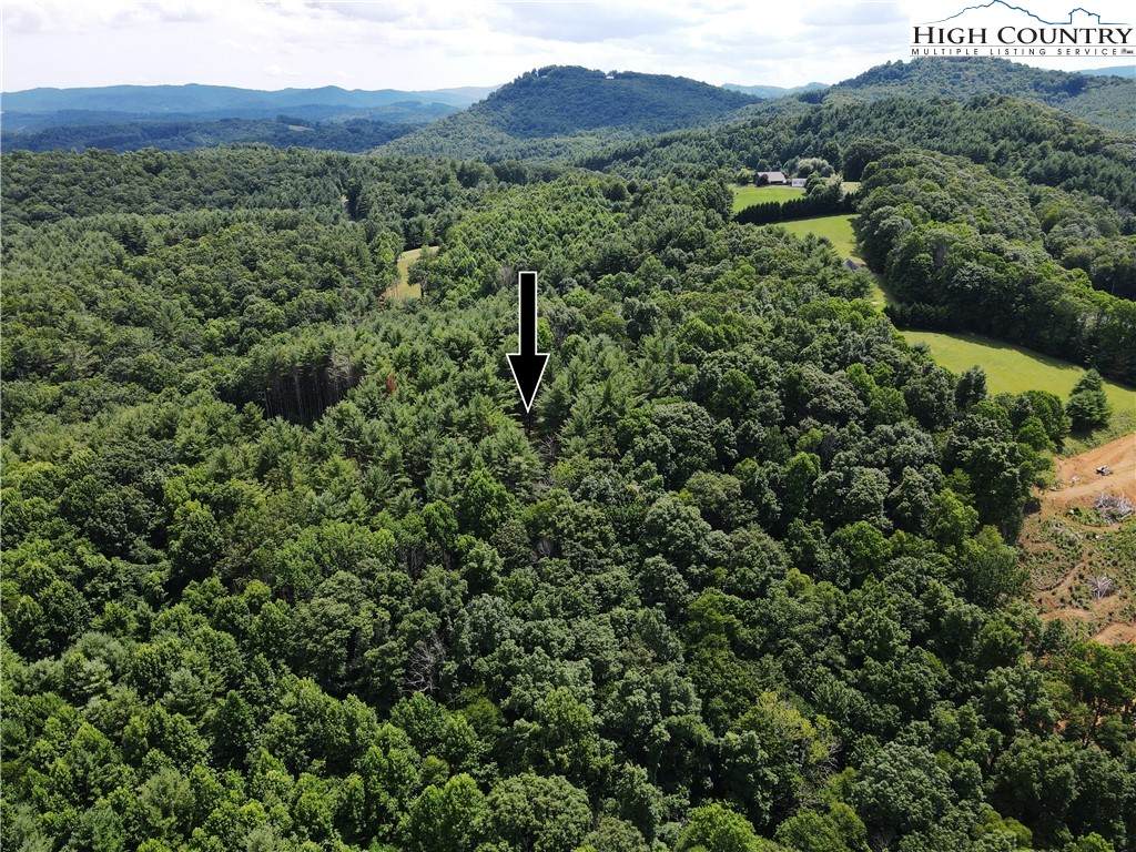 Lot 46 Pine Springs Drive - Photo 1