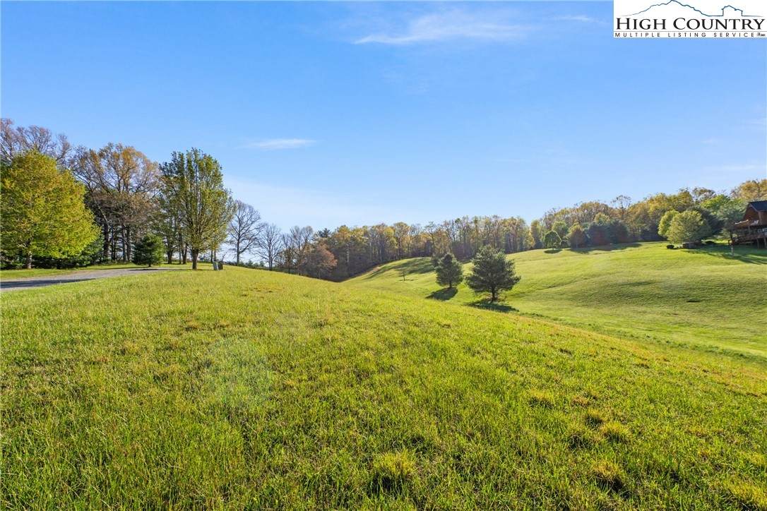 TBD (Lot 29) Pond View Lane - Photo 1