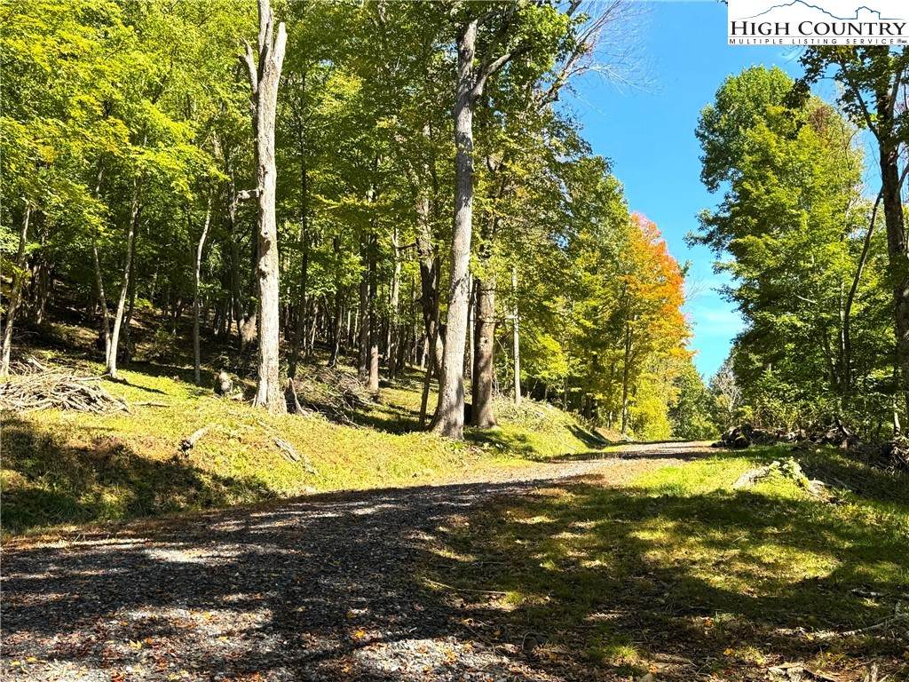 TBD Mystery Mountain Drive - Photo 1