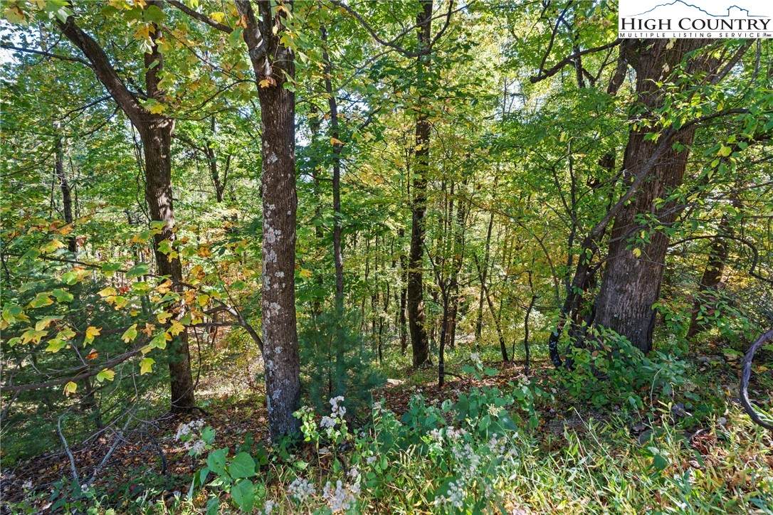 TBD Reynolds Parkway - Photo 1