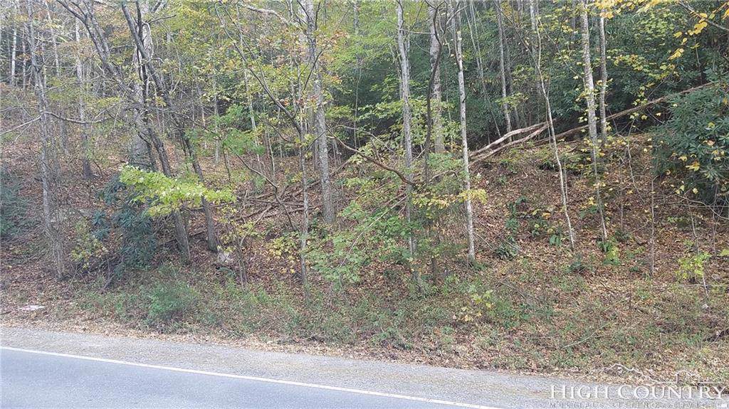 Tbd Mast Gap Road - Photo 1