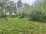 64 Lex Carter Circle - Photo 12