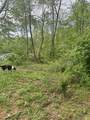64 Lex Carter Circle - Photo 3