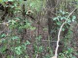 0 Clark Lane - Photo 8