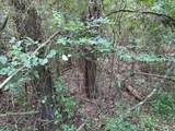 0 Clark Lane - Photo 9