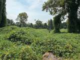 0 Carter Ferry Road - Photo 17