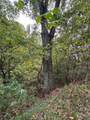 0 Carter Ferry Road - Photo 19