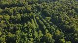 0 Carter Ferry Road - Photo 2