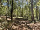 0 Todd Deer Lick Road - Photo 13