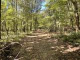 0 Todd Deer Lick Road - Photo 15