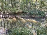 0 Todd Deer Lick Road - Photo 16