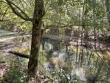 0 Todd Deer Lick Road - Photo 17